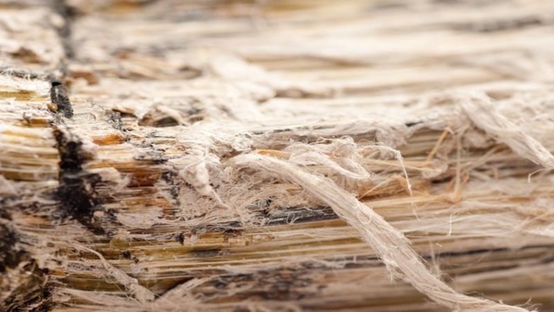 Why You Need Commercial Asbestos Disposal Services in New Haven, CT