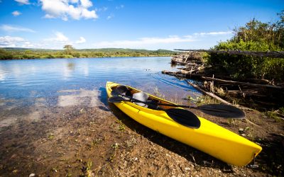 Experience the Beauty of Florida Waterways With Kayak Rentals in Escambia County Has to Offer
