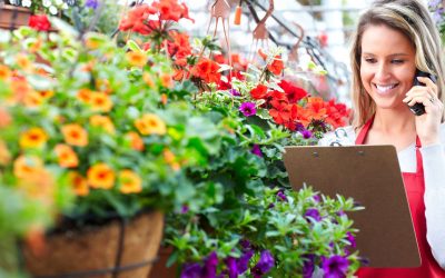 Stunning Gift Ideas You Can Find at a Toledo Flower Shop for Every Special Occasion