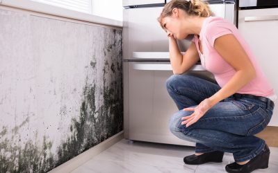 The Hidden Benefits of Water Damage Restoration Services in Carrollton, TX